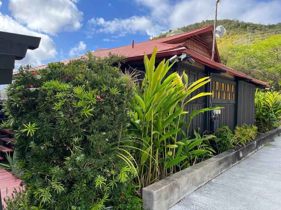 Ferienwohnung Mid-Century: Caribbean Style Contant  Exterior foto